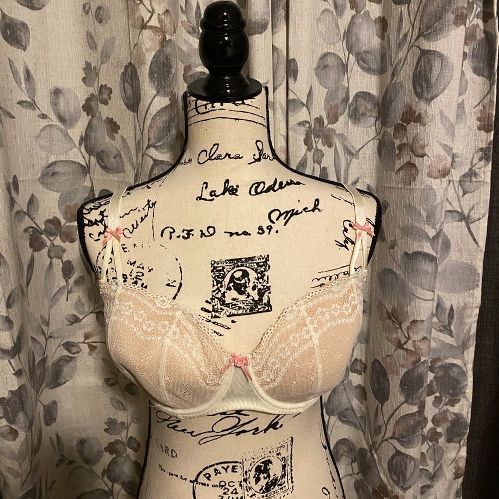 COPY - Betsey Johnson Size 36DD